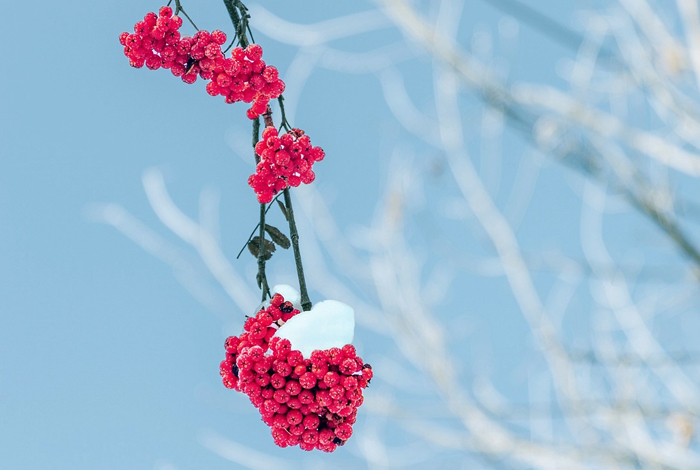 【莱沃医疗：知识分享】今日小雪，快“藏”好这份健康秘籍！