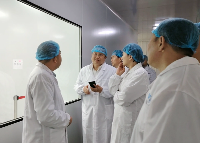Changchun Municipal Political Consultative Conference and leaders at all levels of Jiutai District visited Laiwo Medical for research