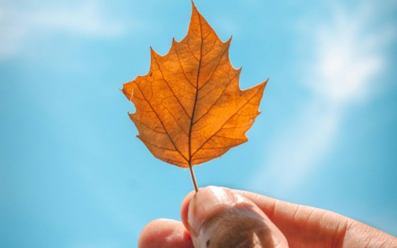 【Laiwo Medical: Knowledge Sharing】 The 
