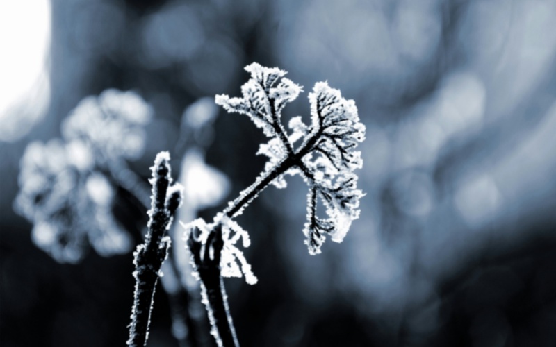 【莱沃医疗:知识分享】霜降不伤颜!鼻炎朋友们也能精致过秋冬了!