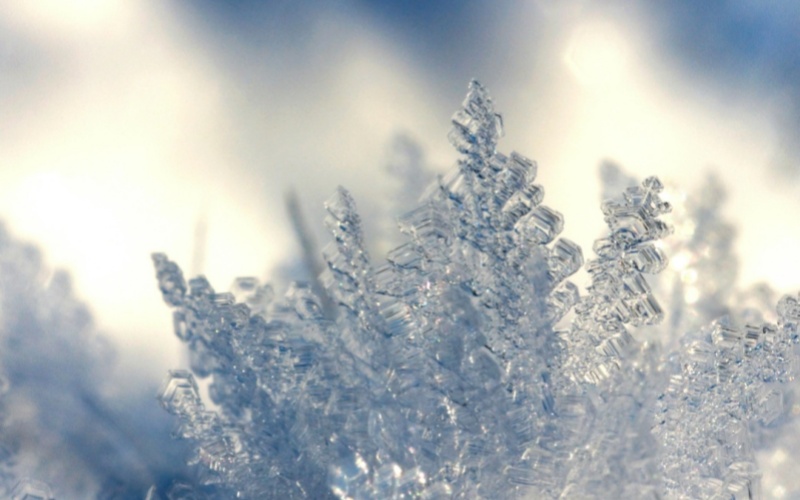 【莱沃医疗：知识分享】小寒降温，菊部先“喊疼”！这几个暖身误区，你踩中几个？