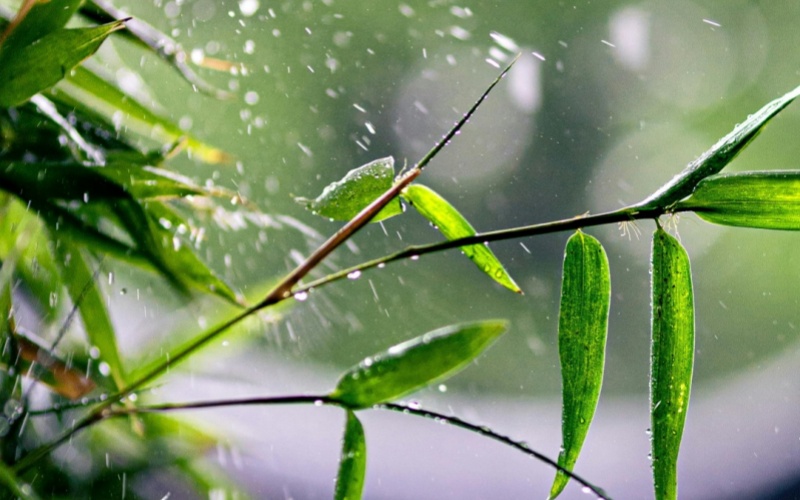 【莱沃医疗：知识分享】芒种一到皮肤就痒？别拿“闷湿”不当回事